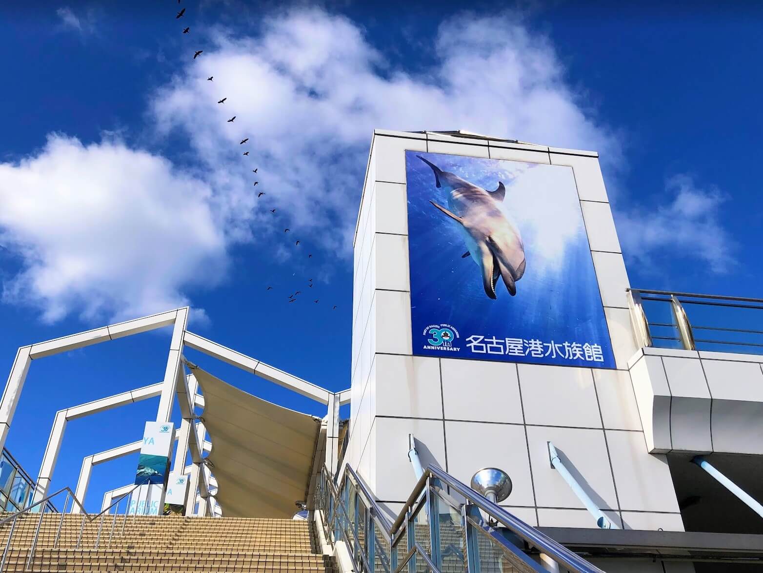 名古屋港水族館イルカクジラアソビュー料金